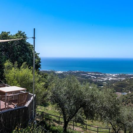 Campo Agave Luxury Tents Sayalonga Εξωτερικό φωτογραφία