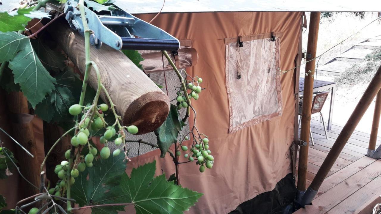 Campo Agave Luxury Tents Sayalonga Εξωτερικό φωτογραφία