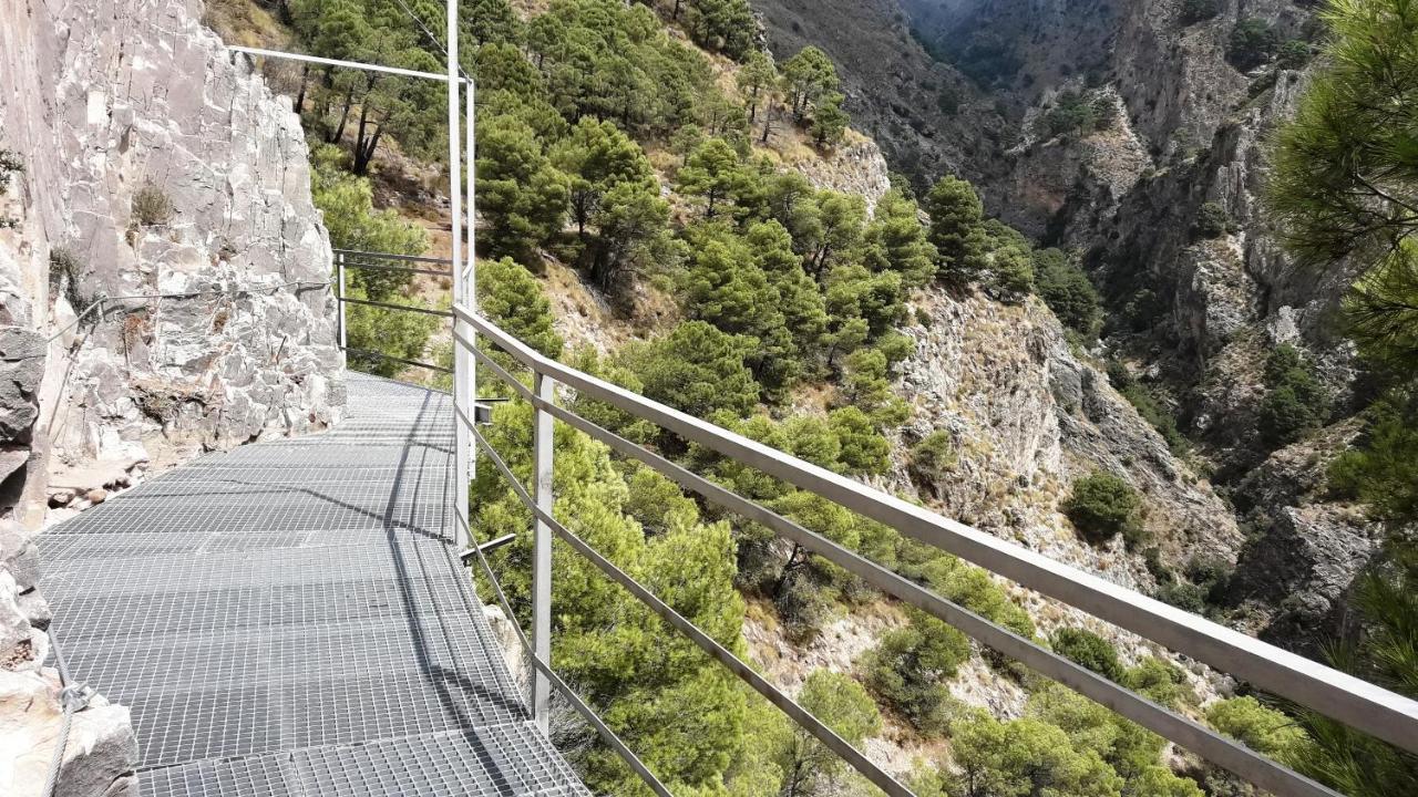 Campo Agave Luxury Tents Sayalonga Εξωτερικό φωτογραφία
