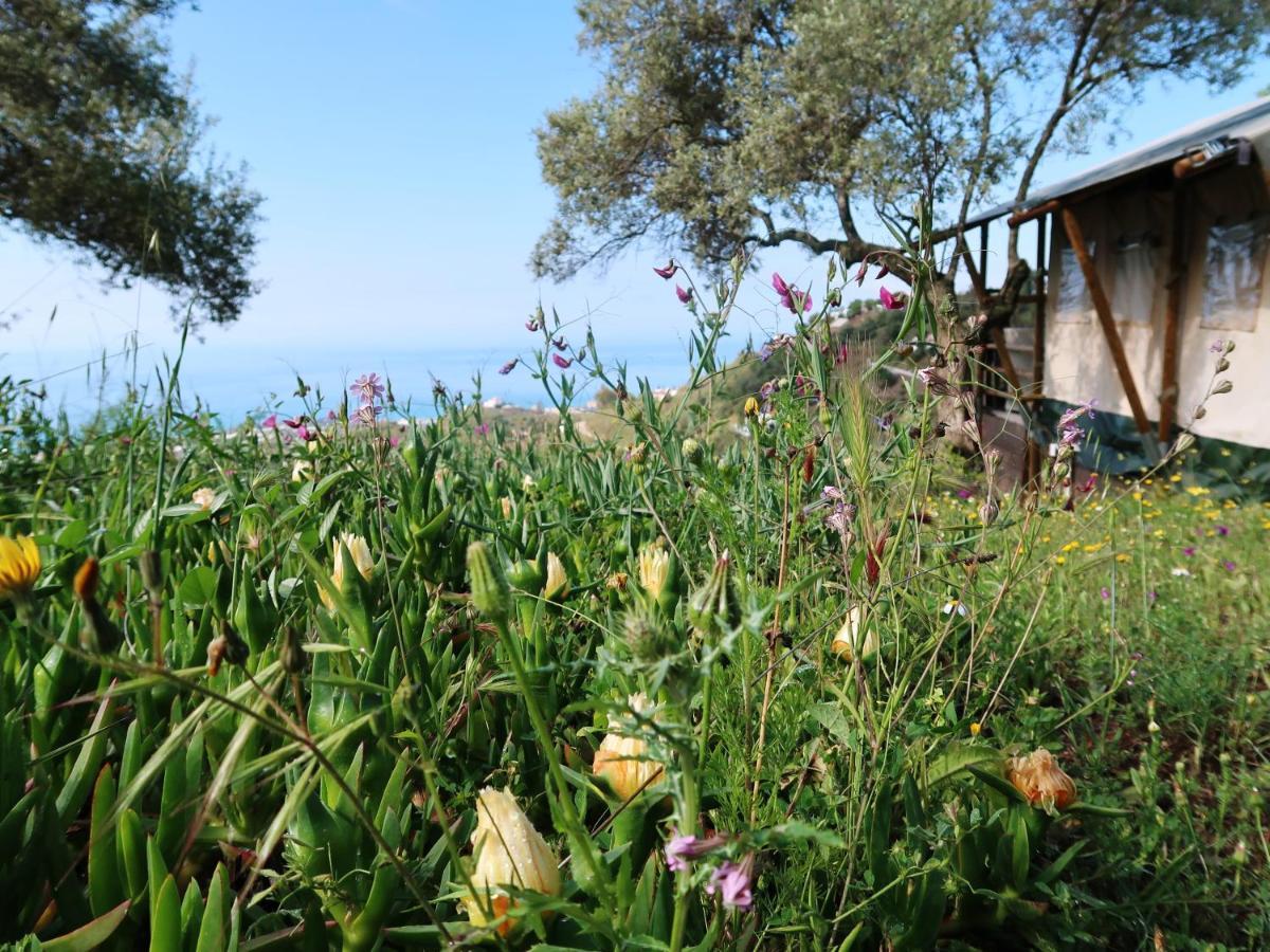 Campo Agave Luxury Tents Sayalonga Εξωτερικό φωτογραφία