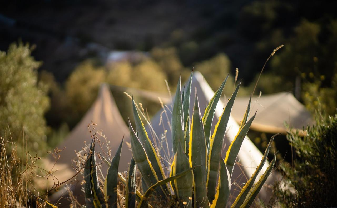 Campo Agave Luxury Tents Sayalonga Εξωτερικό φωτογραφία