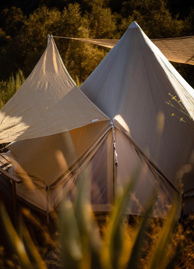 Campo Agave Luxury Tents Sayalonga Εξωτερικό φωτογραφία