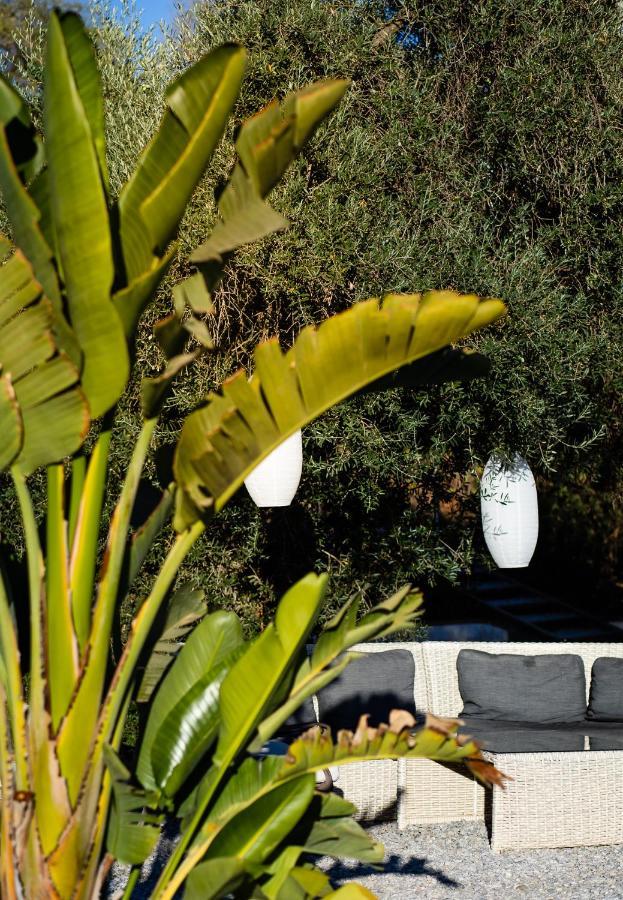 Campo Agave Luxury Tents Sayalonga Εξωτερικό φωτογραφία