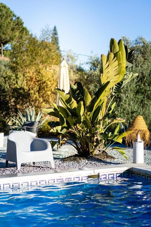 Campo Agave Luxury Tents Sayalonga Εξωτερικό φωτογραφία