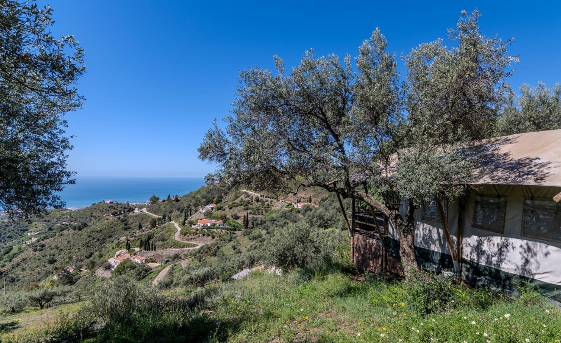 Campo Agave Luxury Tents Sayalonga Εξωτερικό φωτογραφία